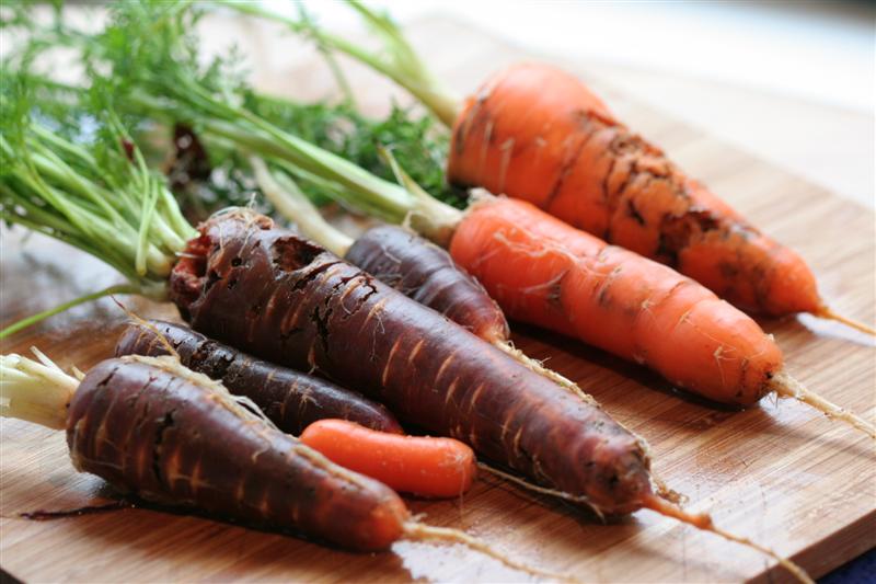 best weather conditions to grow carrots