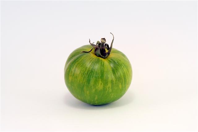 green zebra tomato with stem still attached in a white studio