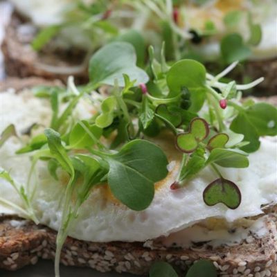 radish microgreens on a toast and egg open face sandwhich