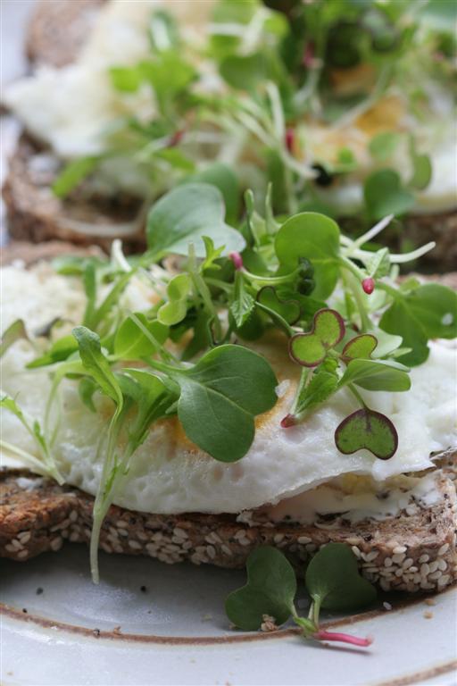 Egg on toast topped with microgreens