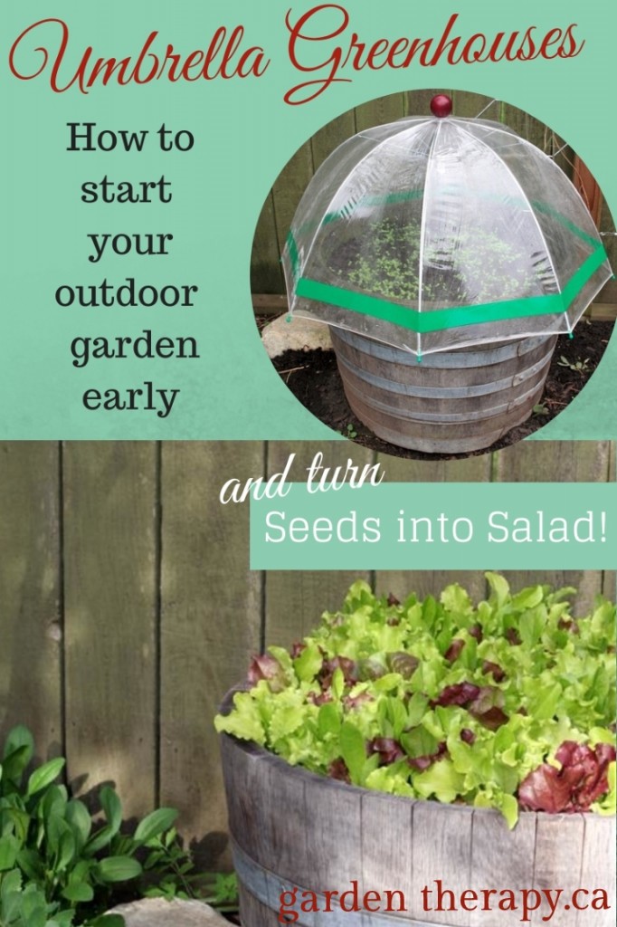 Umbrella Greenhouses - How to Start Your Outdoor Garden Early