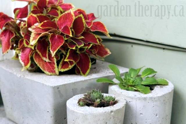 modern concrete planters