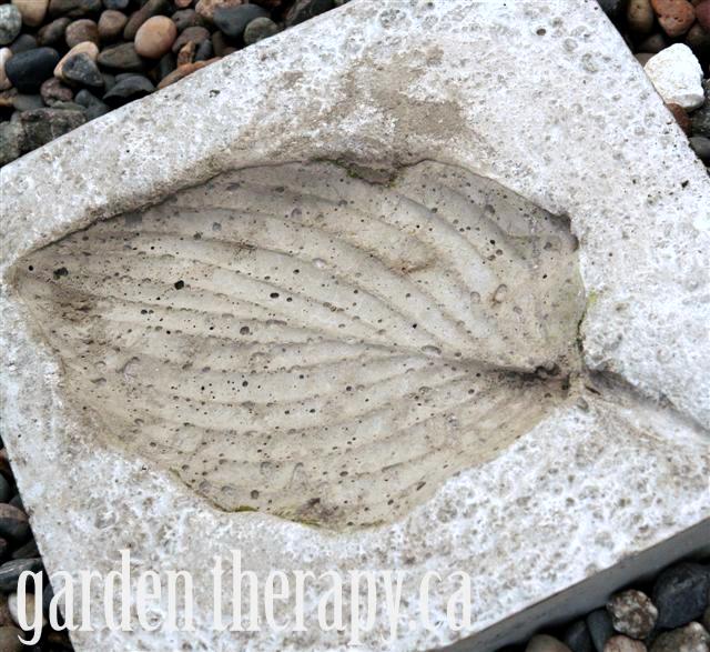 Hosta Imprint Concrete Stepping Stone