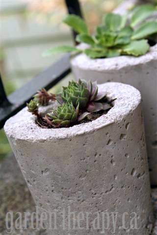 Modern Concrete Planters