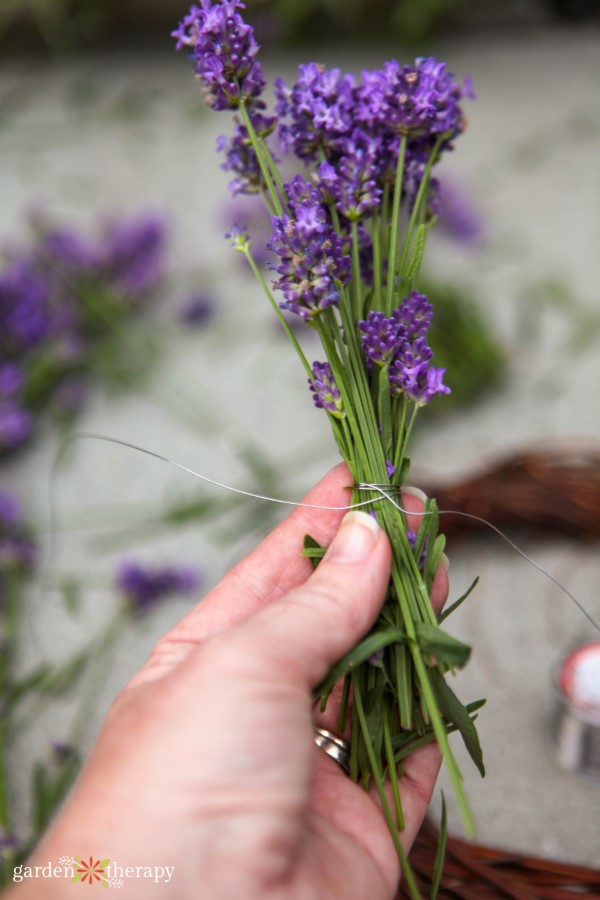 making lavender bundles