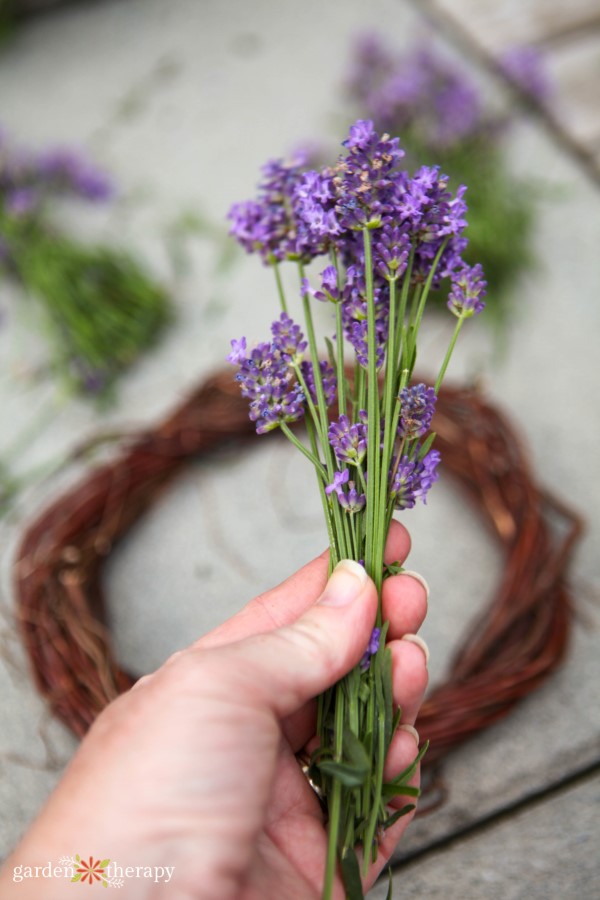 gardening for seasonal affective disorder, lavender for wreath making