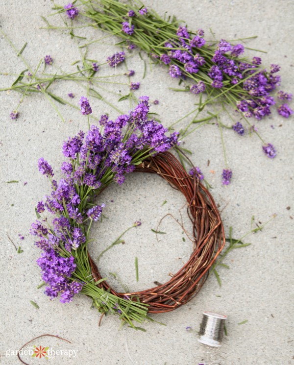 Making a lavender wreath