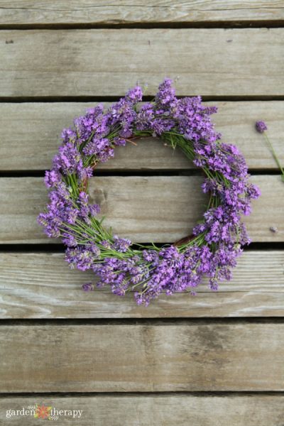 A homemade lavender wreath