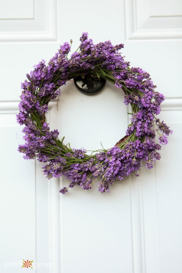 fresh lavender wreath from the garden