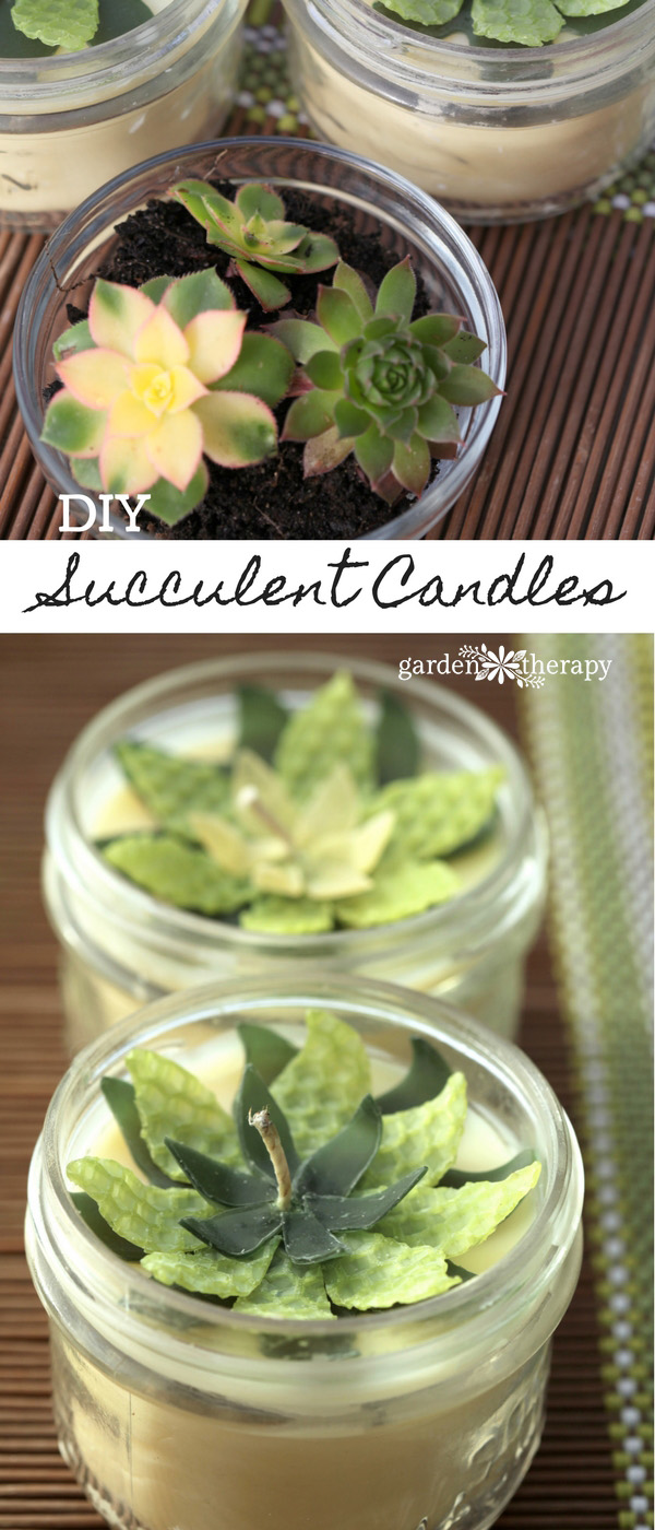 Make these easy beeswax succulent candles