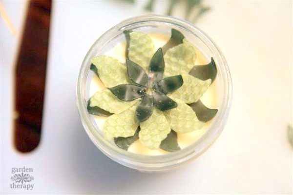 make your own succulent candles 