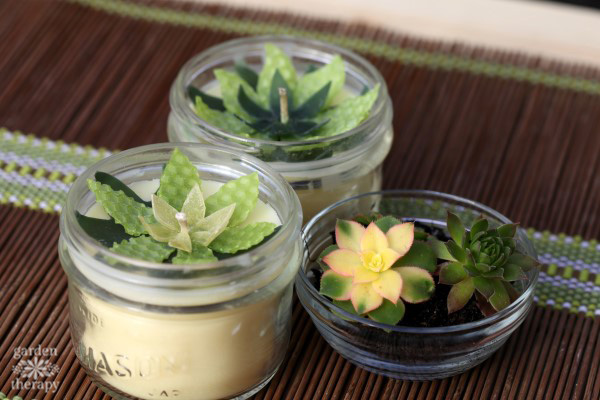 succulent candles you can DIY