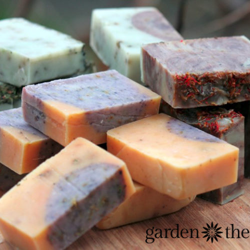 Cold-Process All-Natural Handmade Soap