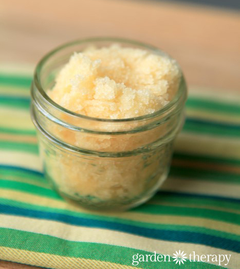 Coconut Sugar Body Scrub (DIY recipe) - Vegan Focus