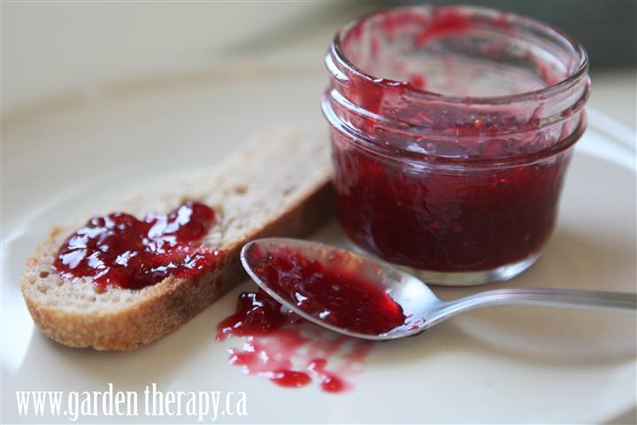 Blood Orange and Raspberry Jam