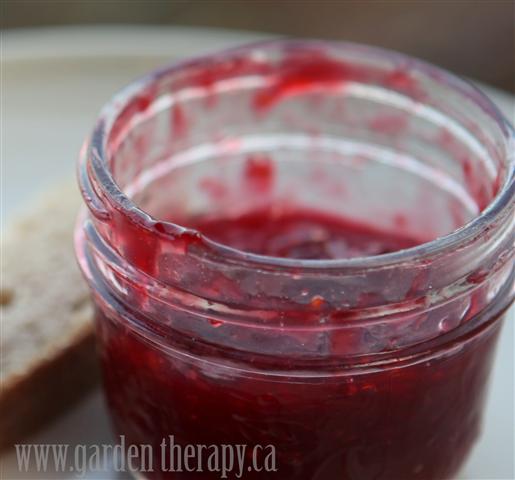 Blood Orange and Raspberry Jam