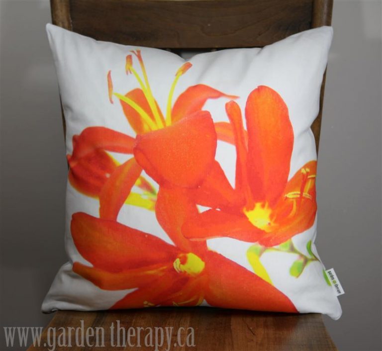 Blood Orange and Raspberry Jam Recipe Garden Therapy