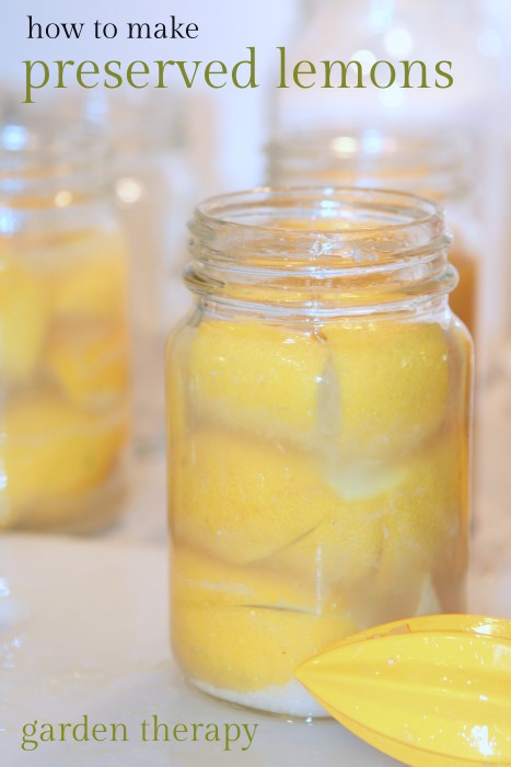 Easy to make preserved lemons add a whole other flavor to chicken or fiah