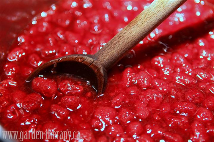 Blood Orange and Raspberry Jam