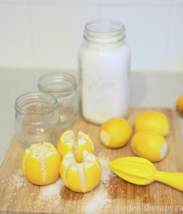 Primarily used in Moroccan cooking, preserved lemons have a unique salty citrus flavor