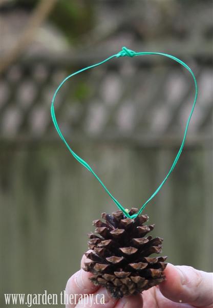 How to make pine cone bird feeders