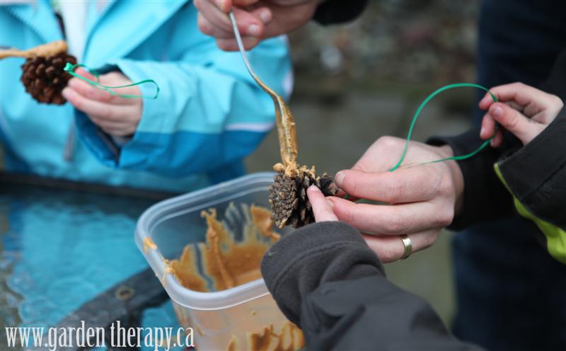 How to make pine cone bird feeders