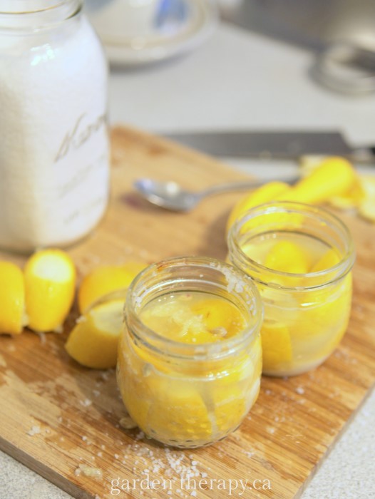This recipe for preserved lemons has only two ingredients, so choose them wisely