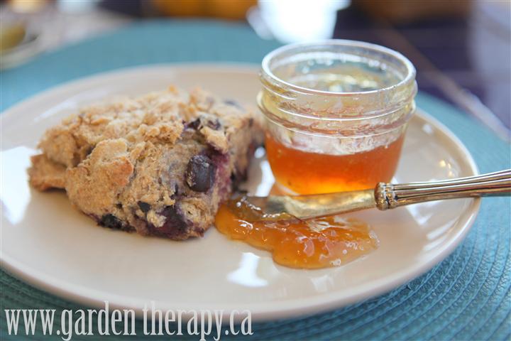 Whole Wheat Blueberry Lemon Scone recipe with meyer lemon jam