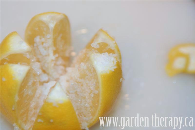 fill lemons with kosher salt - how to make preserved lemons