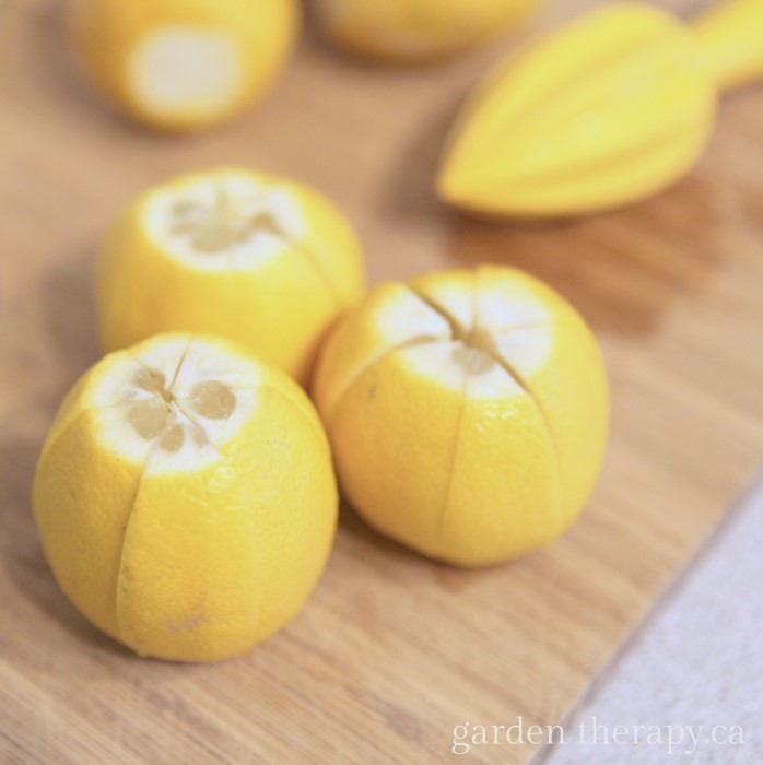 scoring lemons from How to Preserve Lemons