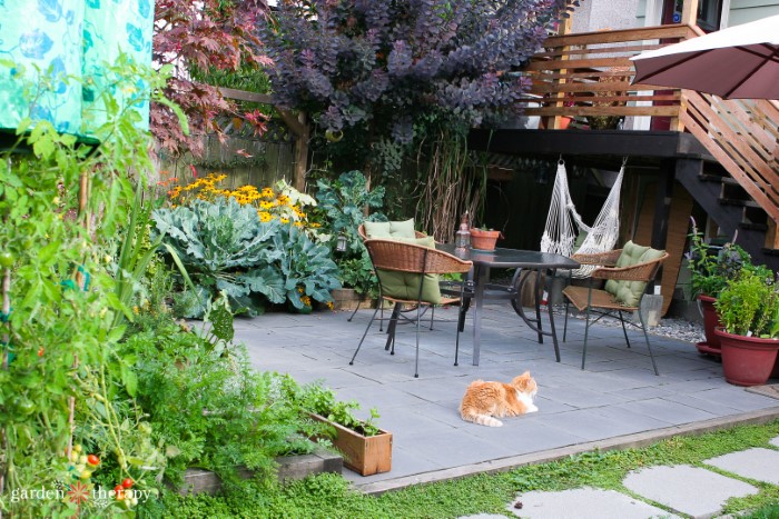 Garden makeover featuring a paved patio with beautiful plants around the boarder and an orange cat napping.