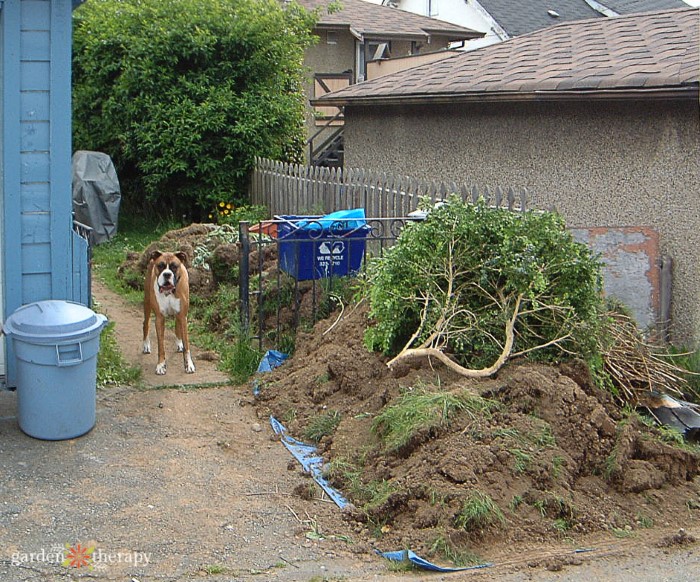 Removing Grass and Soil