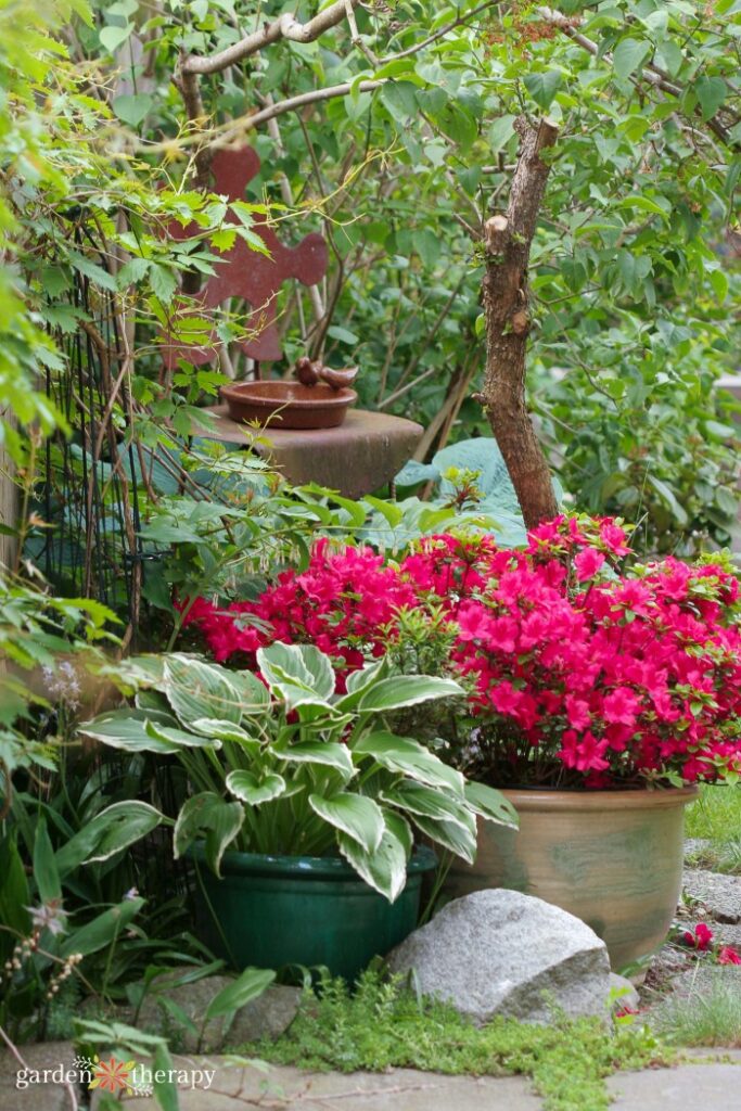 Cómo medir cuánto sol recibe tu jardín