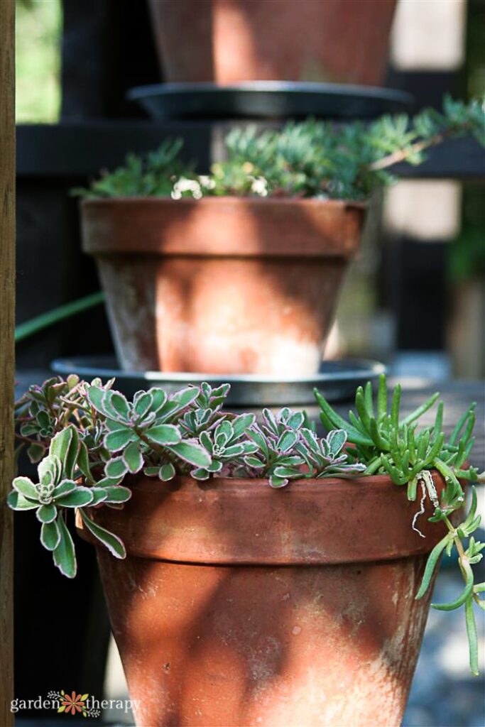 Stacked planters filled with green succulents going up deck stairs