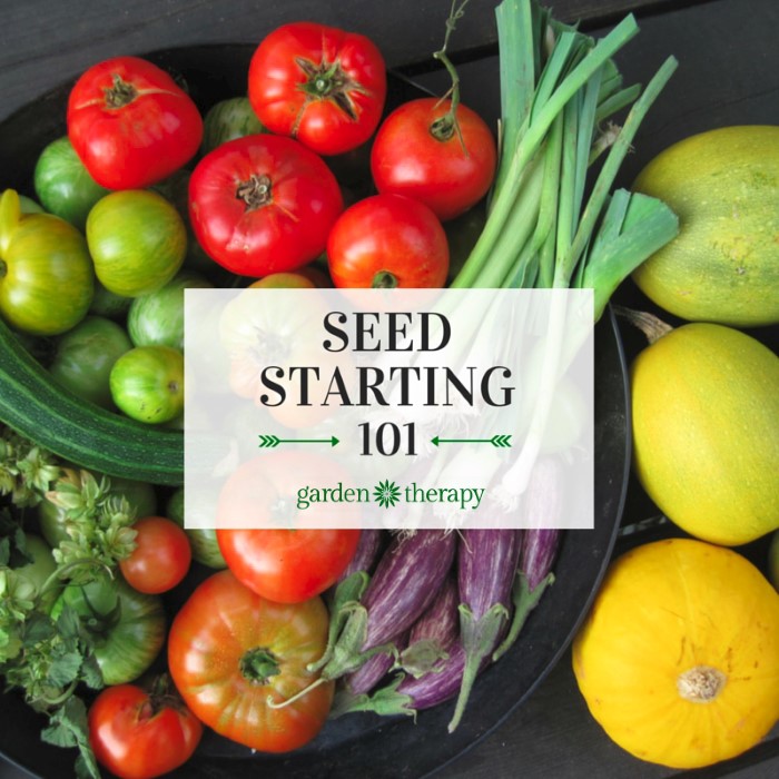 This is the perfect guide for beginners! Start seeds successfully and grow your own organic garden