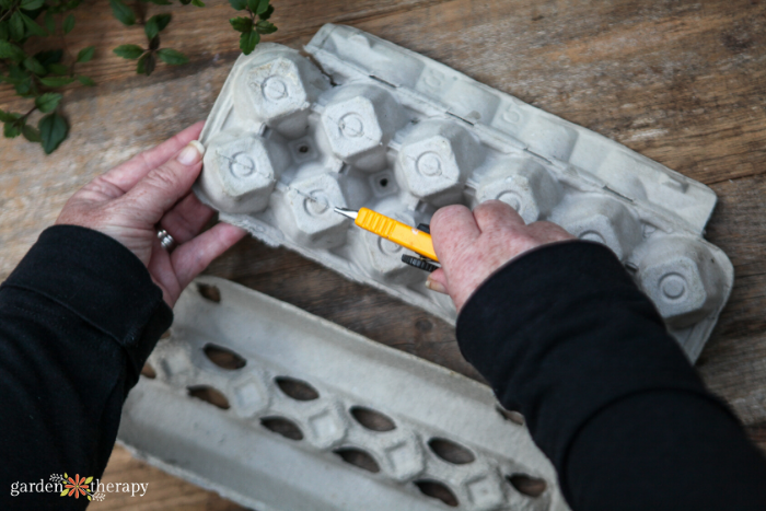 woman preparing an egg carton for seed starting