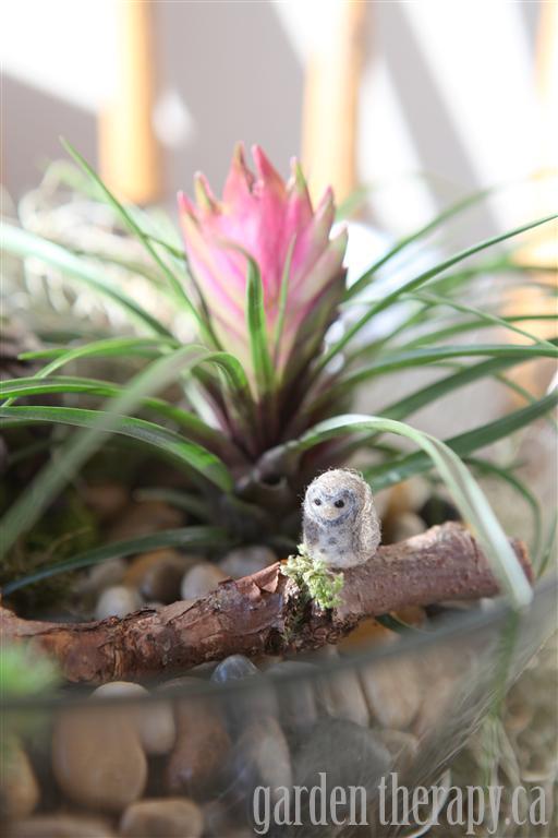 Tiny Felted Owl in a Woodland Terrarium