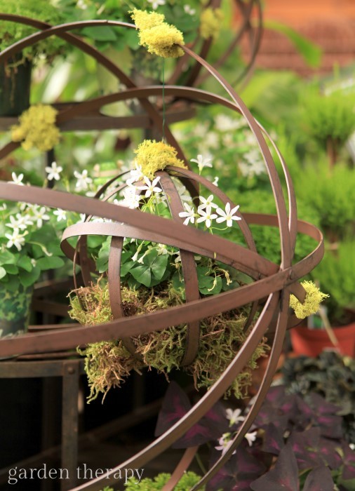 Hanging wire balls with moss and oxalis make a gorgeous spring display