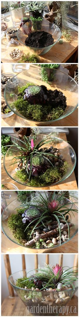 DIY Terrarium Project Using a Salad Bowl - full instructions and a review of the book Terrarium Craft for more ideas