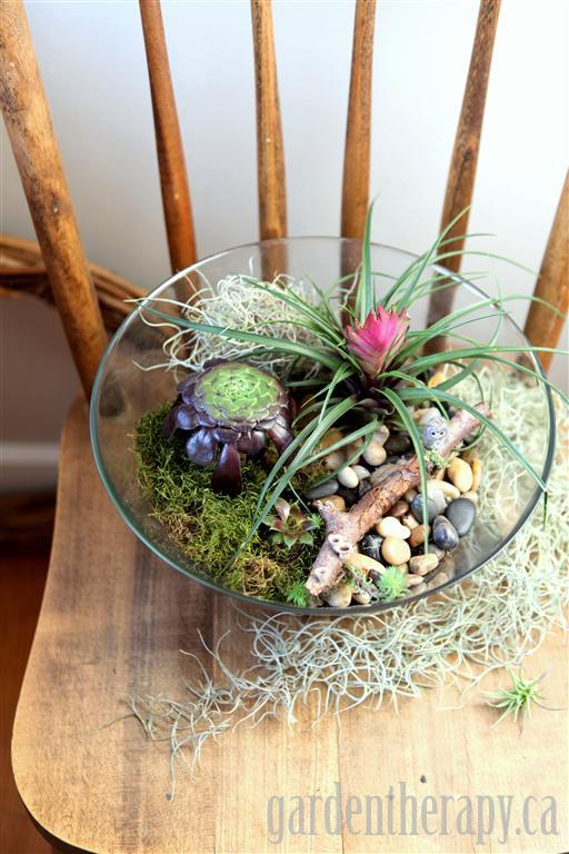 Making a terrarium from a salad bowl