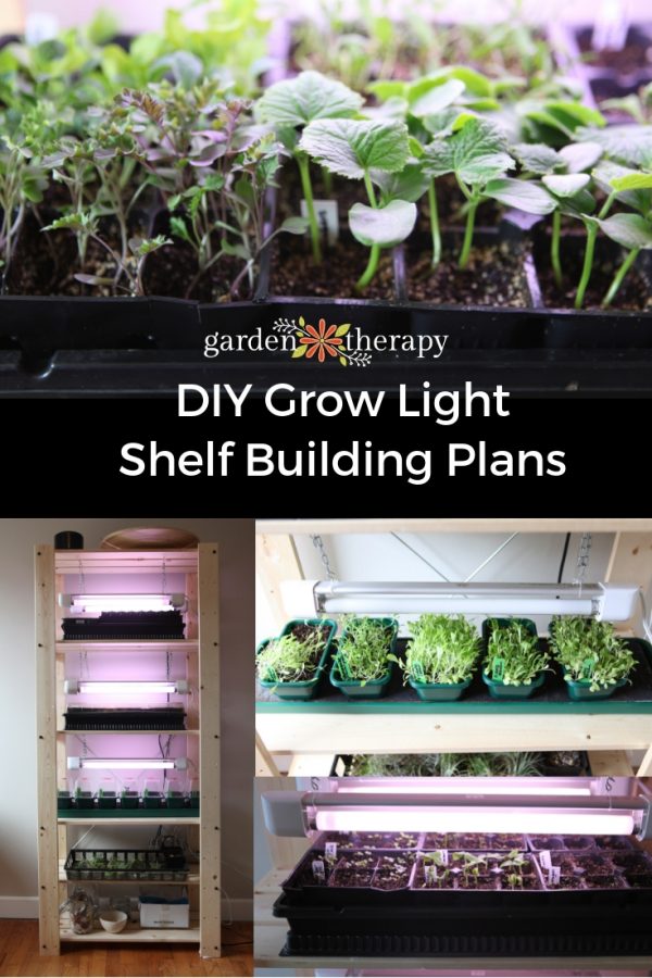 DIY Plant Shelf with Grow Lights to Give Your Seeds the Right Start