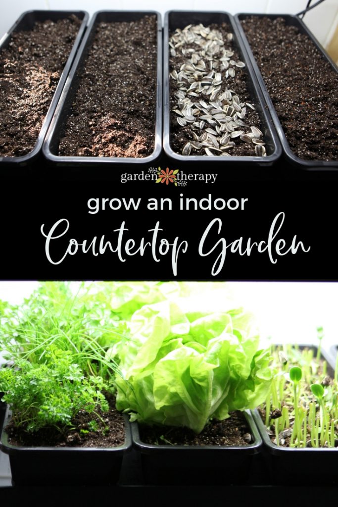 Grow an Indoor Countertop Garden