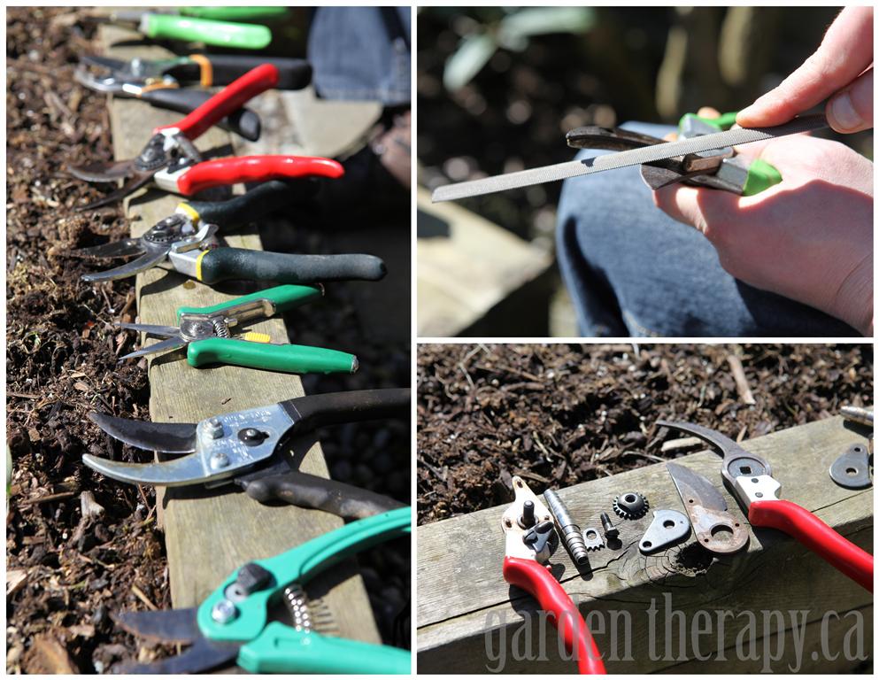 How to Care For Garden Pruners - Garden Therapy