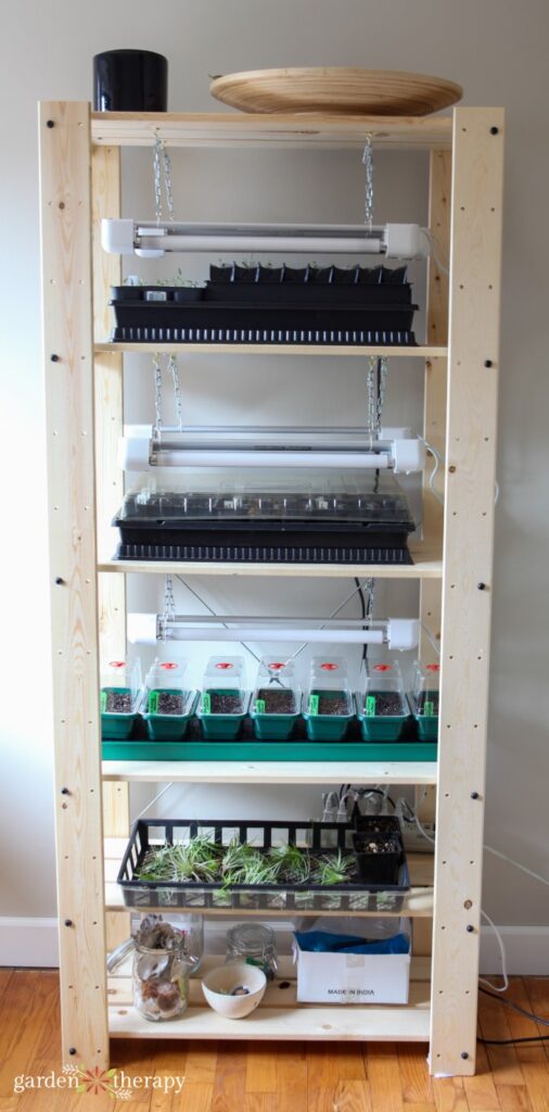 grow light shelf without the lights on