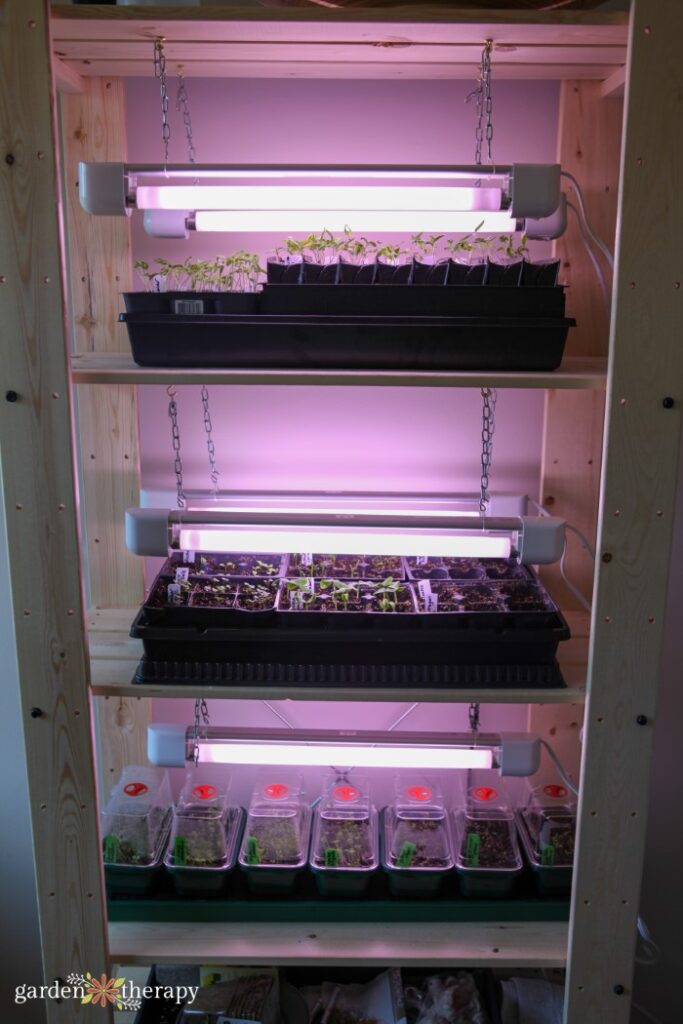 Seed Shelf tutorial with grow lights