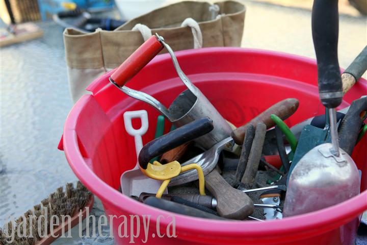 DIY Garden Tool Bucket Organizer - The garden!