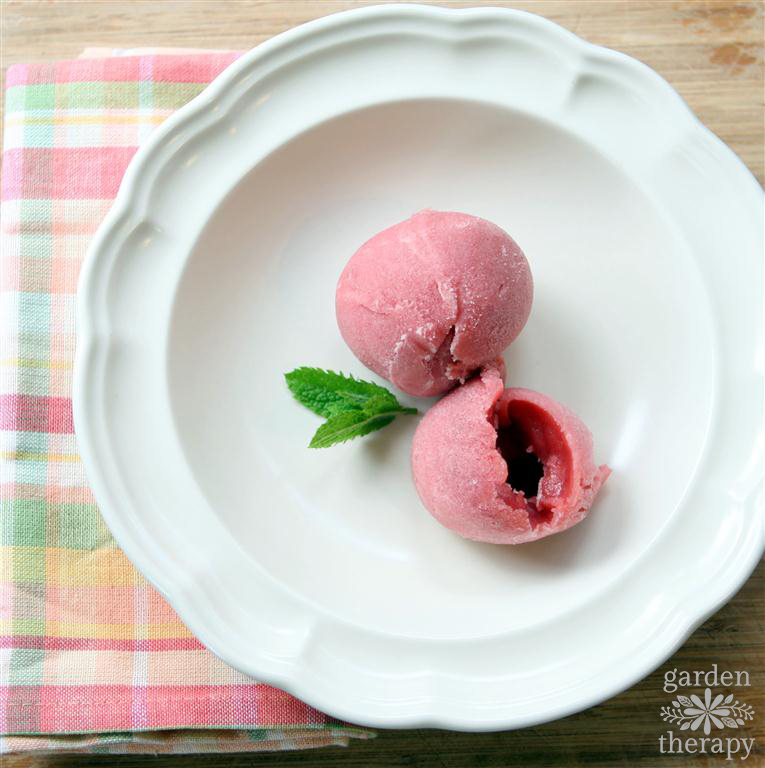 Rhubarb sorbet