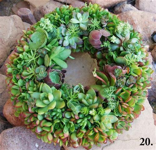 Succulent wreath