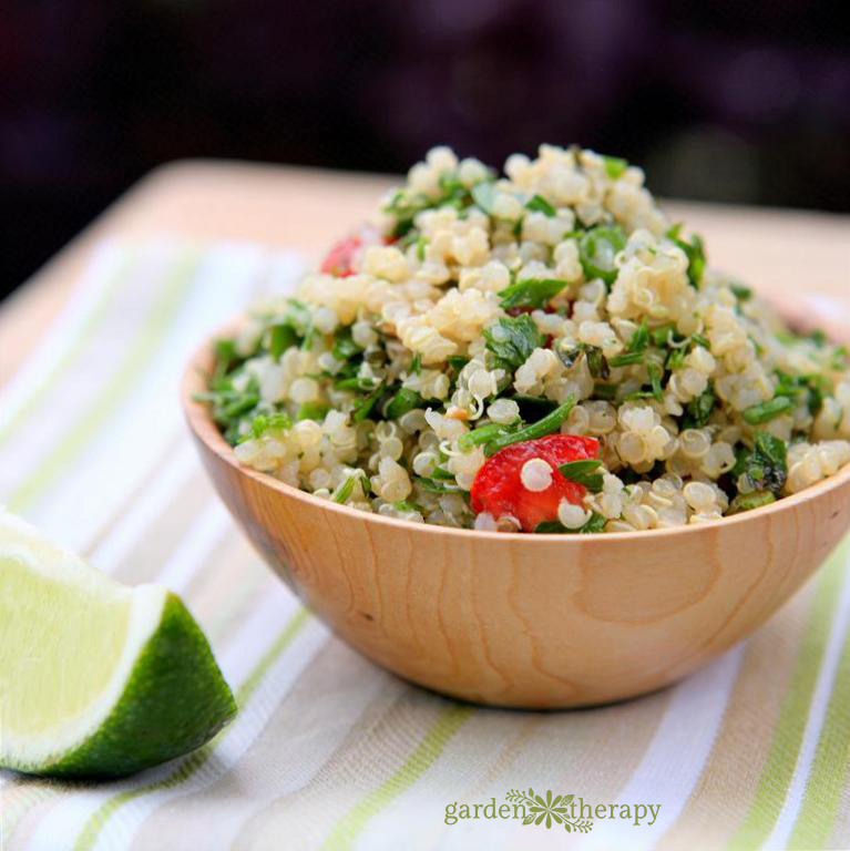 Tabbouleh Recipe from the garden