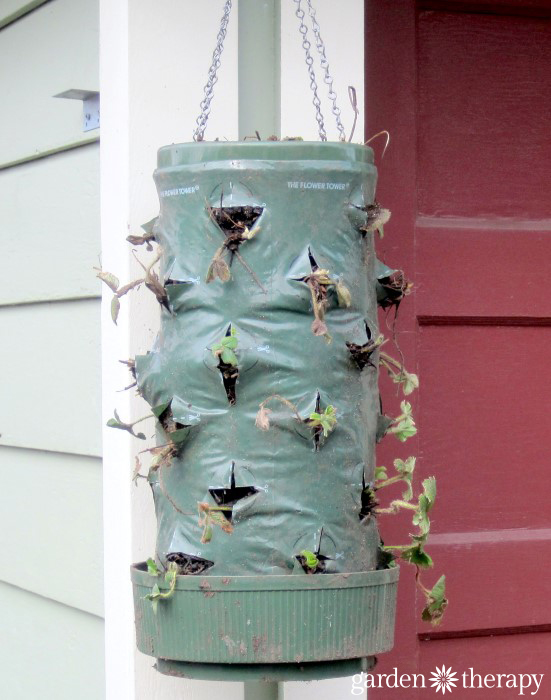 You won't believe how this hanging strawberry planter turned out